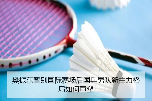 樊振东暂别国际赛场后国乒男队新主力格局如何重塑